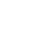 x-icon